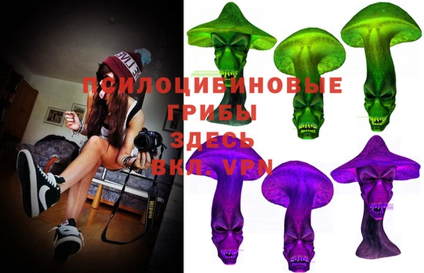 стафф Краснотурьинск