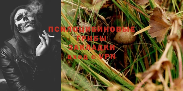 PSILOCYBIN Красноперекопск