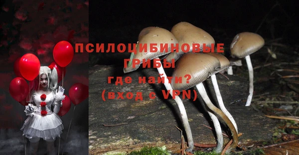 PSILOCYBIN Красноперекопск
