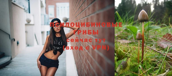 кристаллы Краснослободск