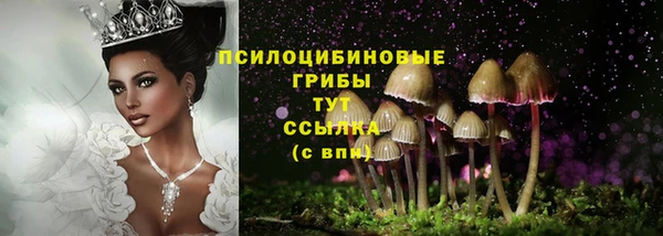 стафф Краснотурьинск