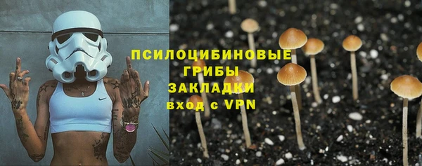 стафф Краснотурьинск