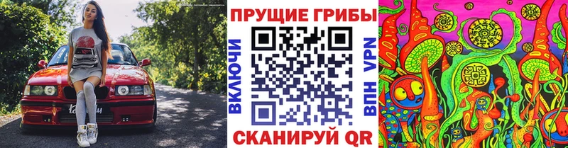 наркотики  Чкаловск  Галлюциногенные грибы мицелий 